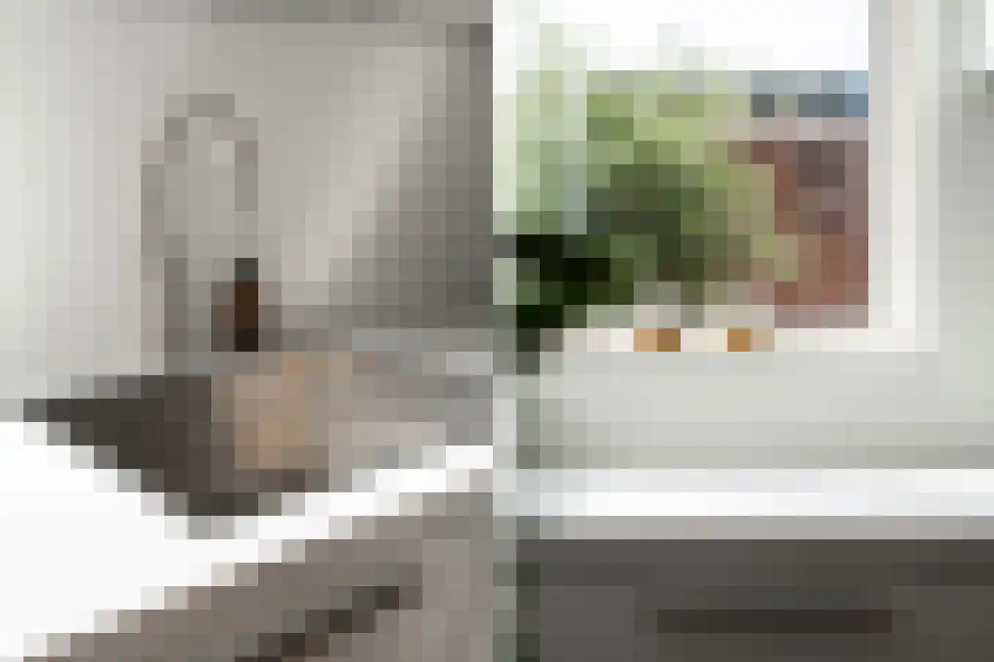 Palestrinaplantsoen 357 Den Haag thumbnail 11