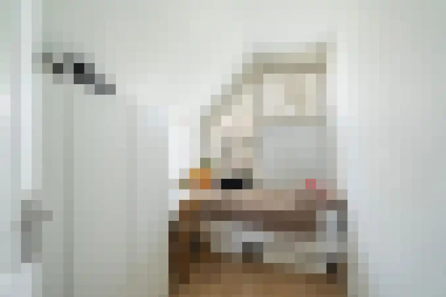 Palestrinaplantsoen 357 Den Haag thumbnail 17