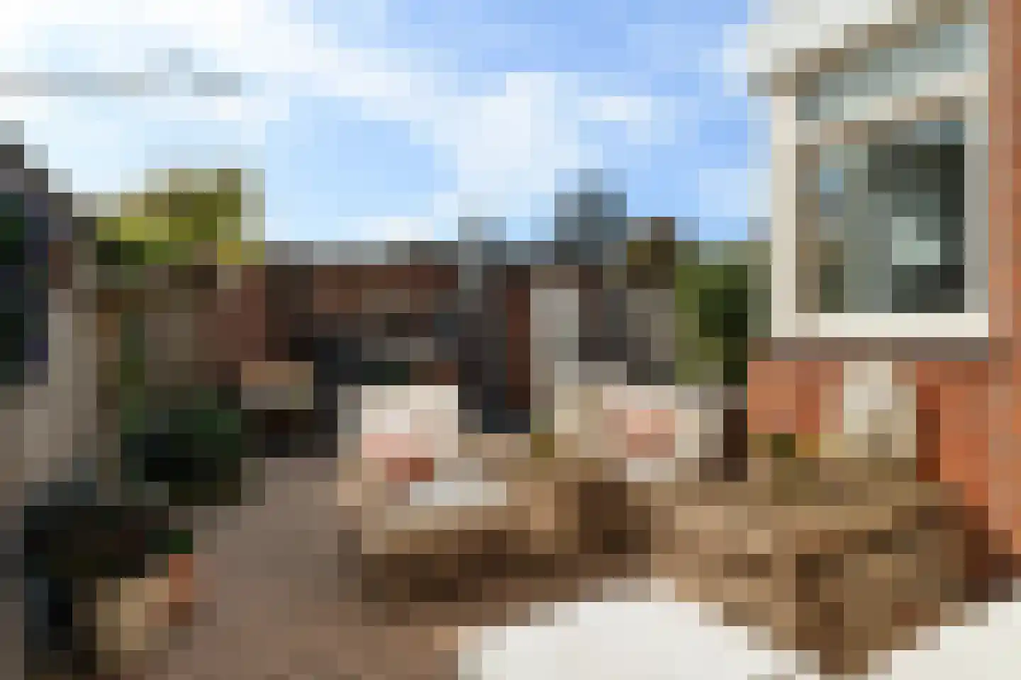 Palestrinaplantsoen 357 Den Haag thumbnail 26
