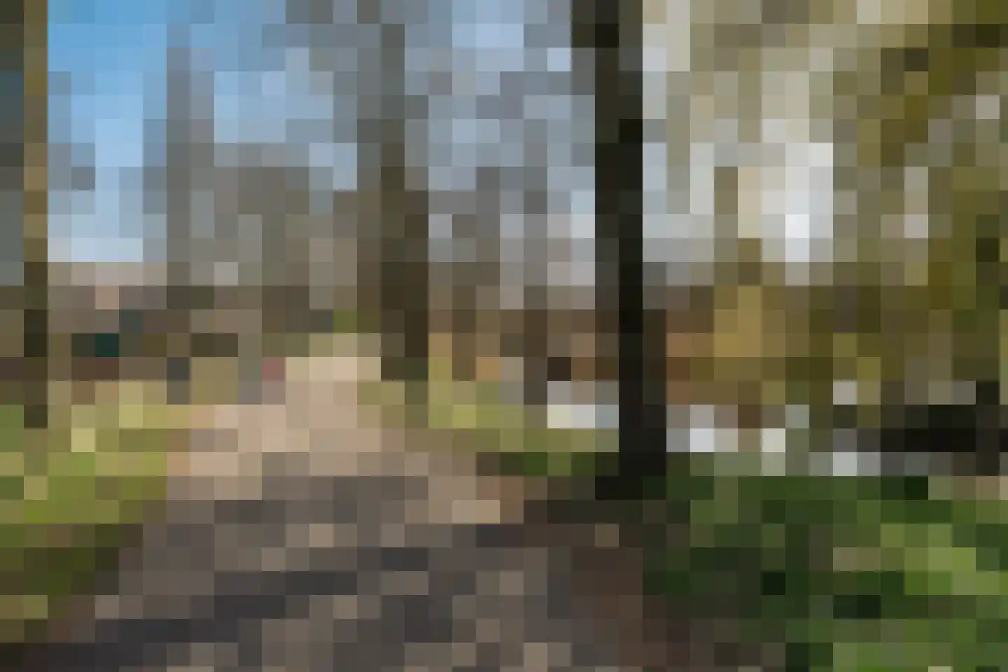Palestrinaplantsoen 357 Den Haag thumbnail 32