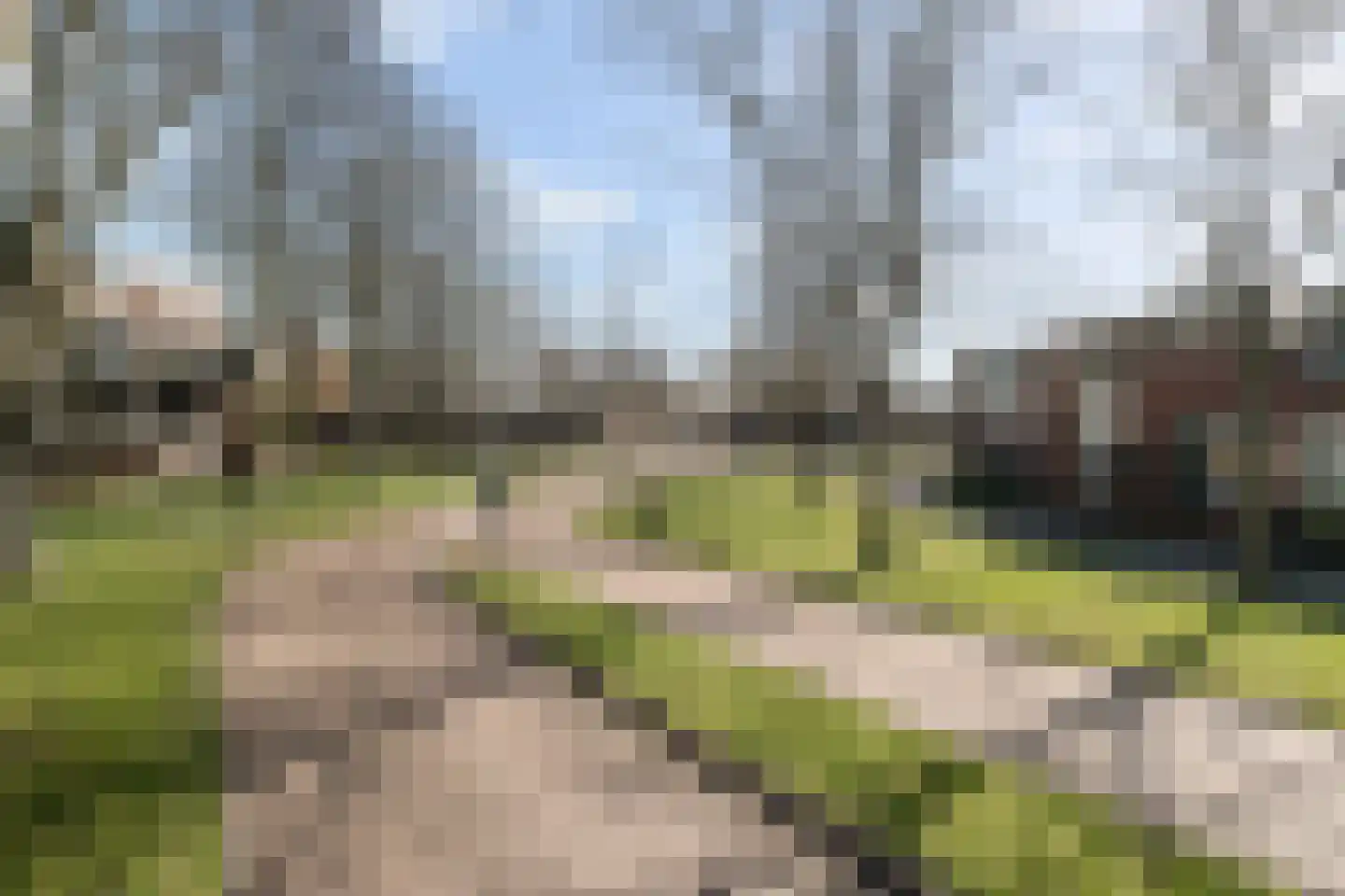 Palestrinaplantsoen 357 Den Haag thumbnail 34