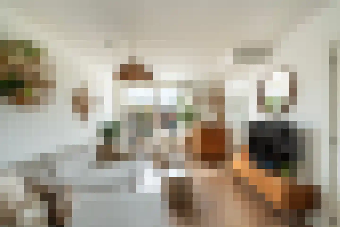 Palestrinaplantsoen 357 Den Haag thumbnail 4