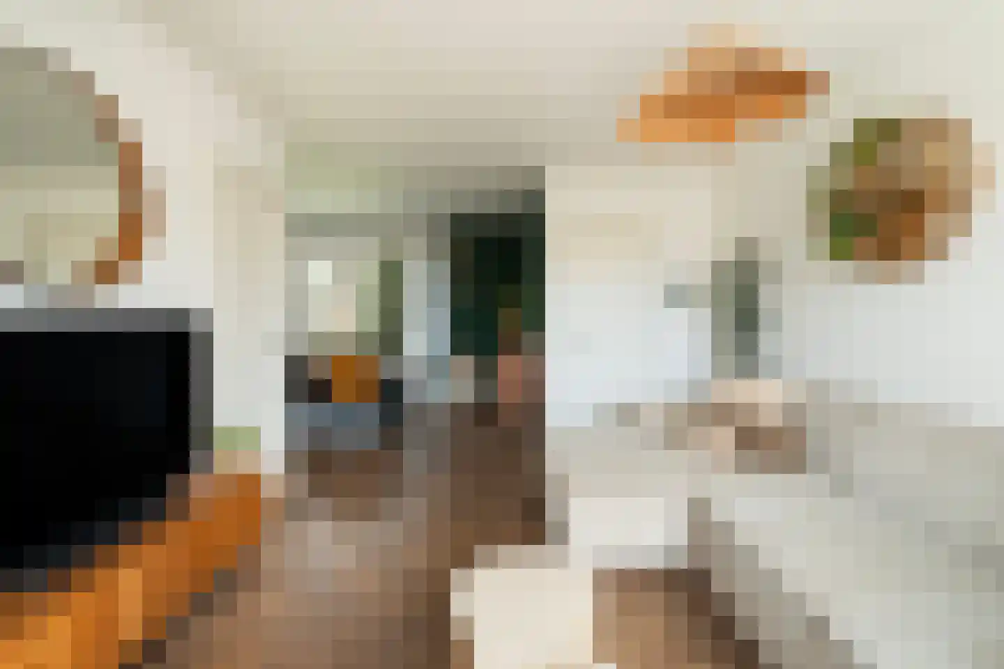 Palestrinaplantsoen 357 Den Haag thumbnail 5