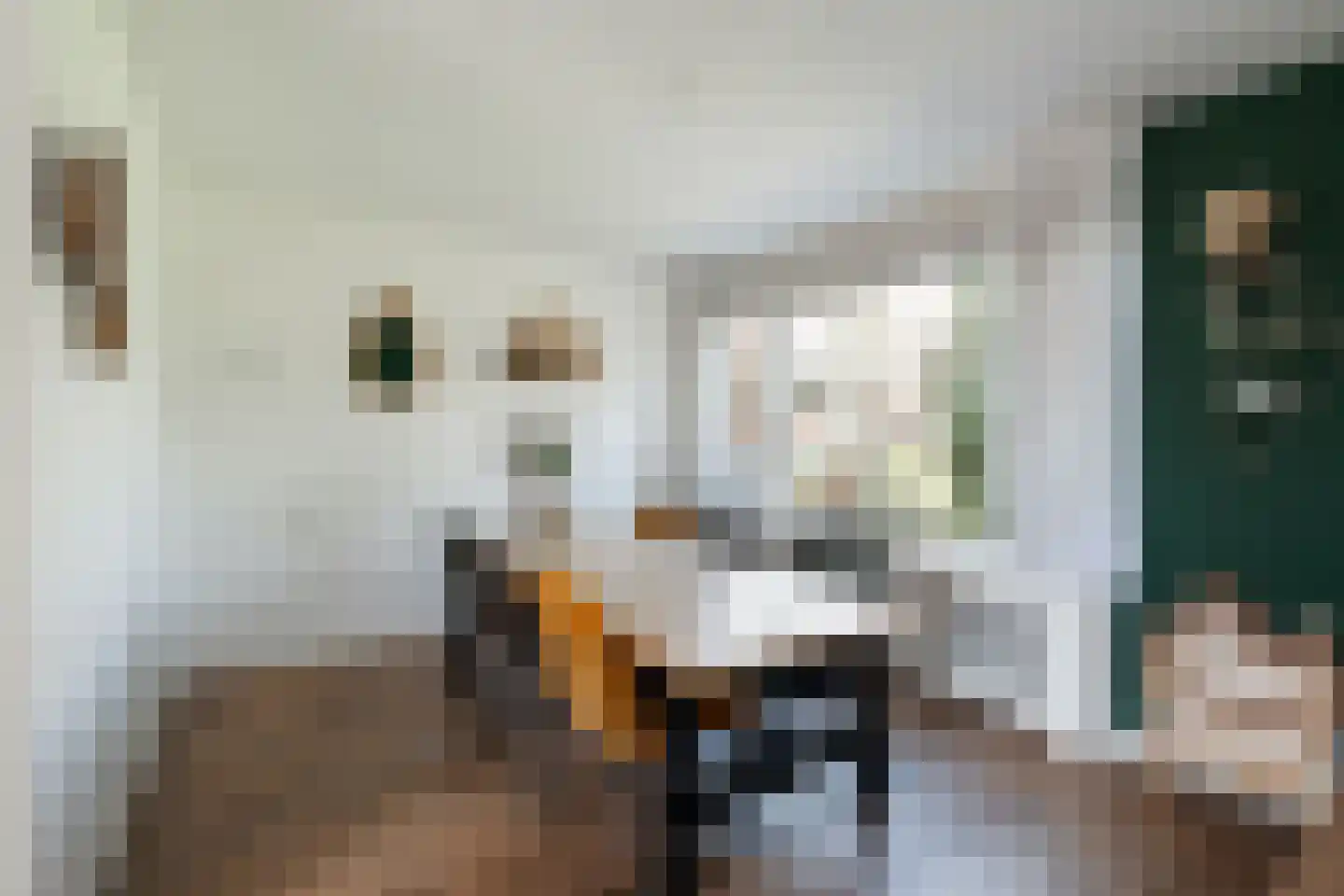 Palestrinaplantsoen 357 Den Haag thumbnail 7