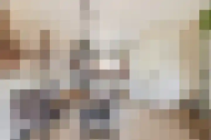 Palestrinarode 16 Zoetermeer thumbnail 13