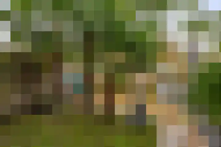 Palestrinarode 16 Zoetermeer thumbnail 18