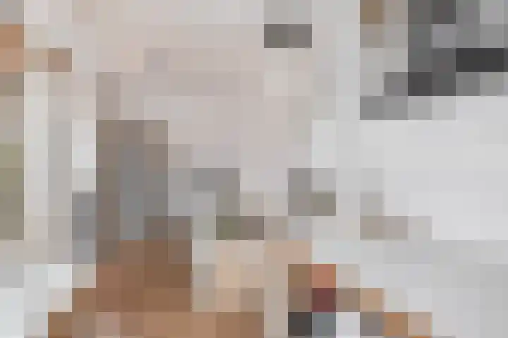 Palestrinarode 16 Zoetermeer thumbnail 31