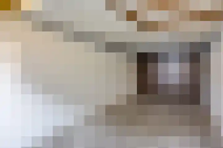 Palestrinarode 16 Zoetermeer thumbnail 37