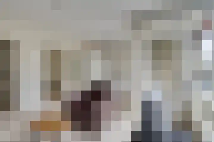 Palestrinarode 16 Zoetermeer thumbnail 4