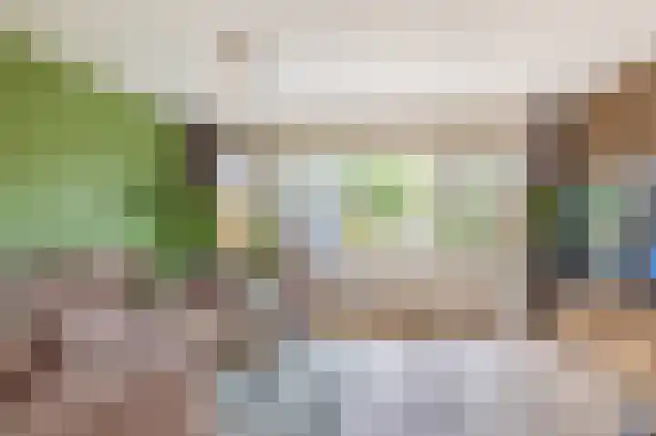 Palestrinarode 16 Zoetermeer thumbnail 8