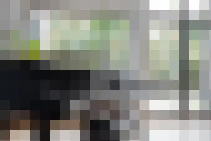Palestrinarode 46 Zoetermeer thumbnail 13