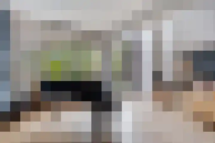 Palestrinarode 46 Zoetermeer thumbnail 14