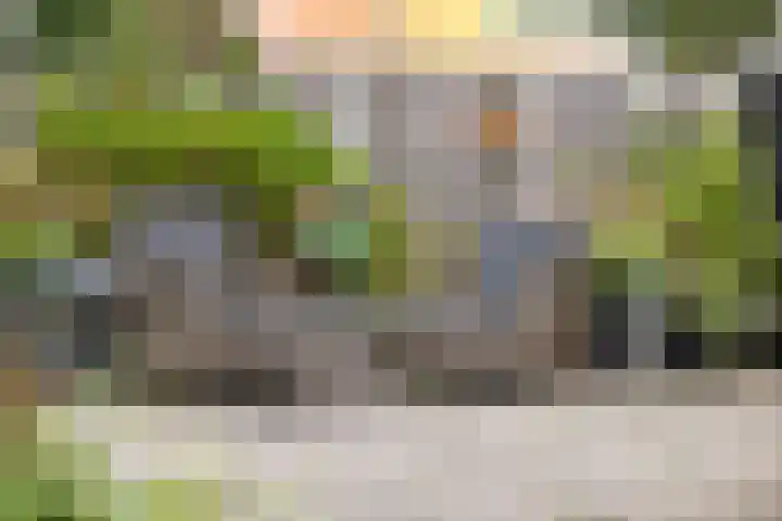 Palestrinarode 46 Zoetermeer thumbnail 15