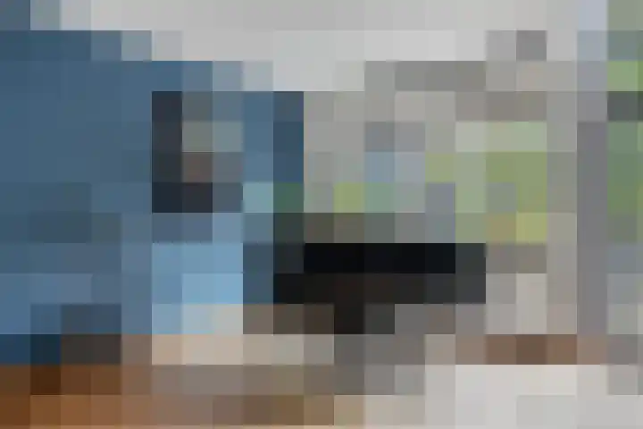 Palestrinarode 46 Zoetermeer thumbnail 15