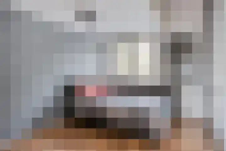 Palestrinarode 46 Zoetermeer thumbnail 29