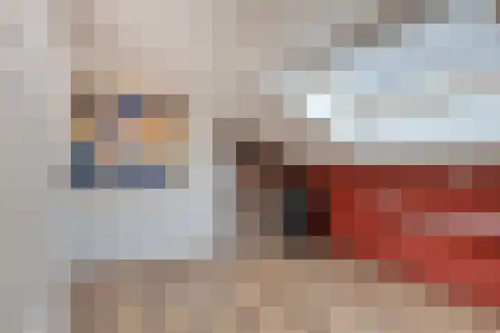 Palestrinarode 46 Zoetermeer thumbnail 33