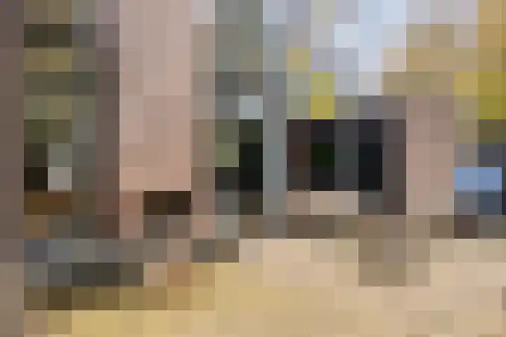 Palestrinarode 46 Zoetermeer thumbnail 35
