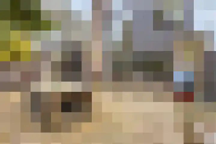 Palestrinarode 46 Zoetermeer thumbnail 36