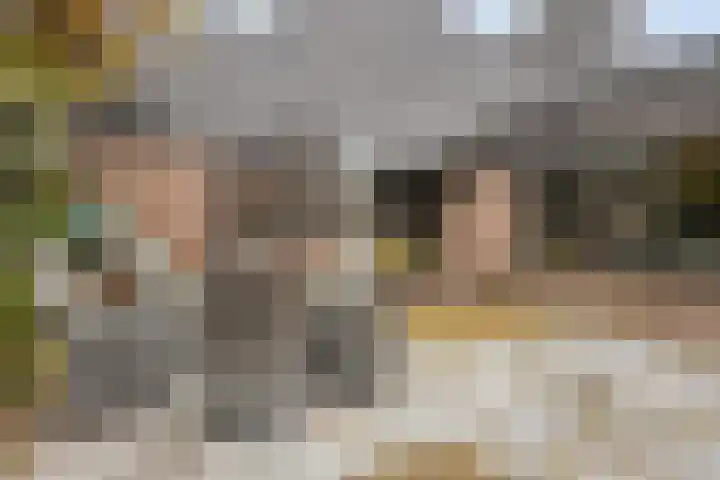 Palestrinarode 46 Zoetermeer thumbnail 37