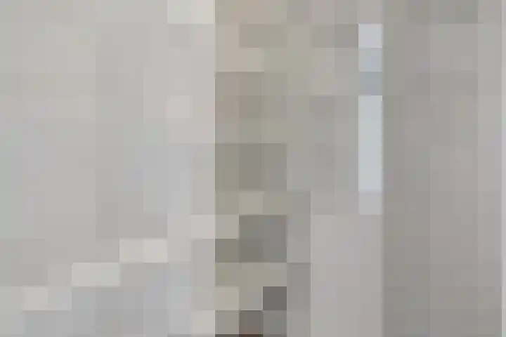 Palestrinarode 46 Zoetermeer thumbnail 38