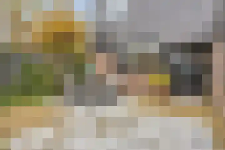 Palestrinarode 46 Zoetermeer thumbnail 38