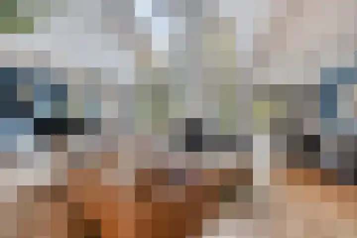 Palestrinarode 46 Zoetermeer thumbnail 4