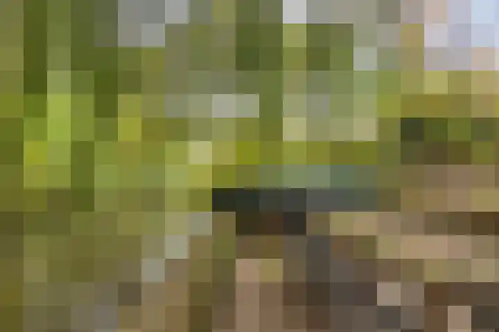 Palestrinarode 46 Zoetermeer thumbnail 42
