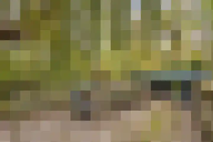 Palestrinarode 46 Zoetermeer thumbnail 43