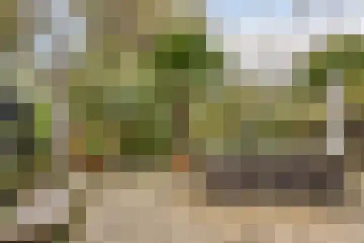Palestrinarode 46 Zoetermeer thumbnail 45