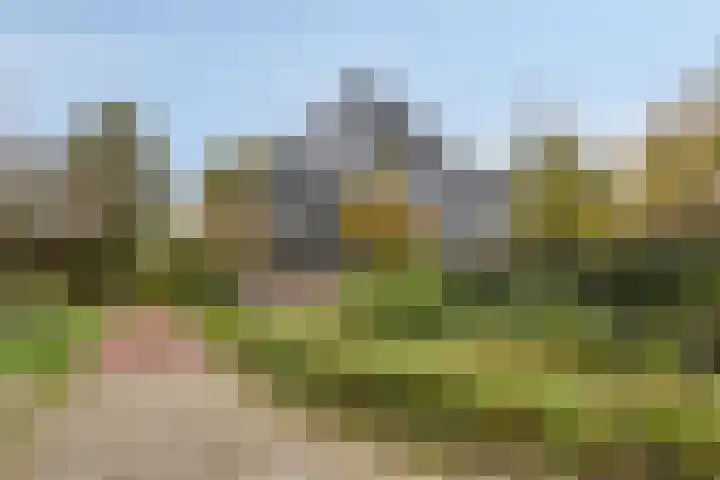 Palestrinarode 46 Zoetermeer thumbnail 49