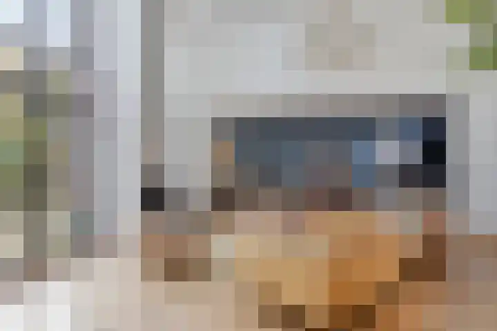 Palestrinarode 46 Zoetermeer thumbnail 5