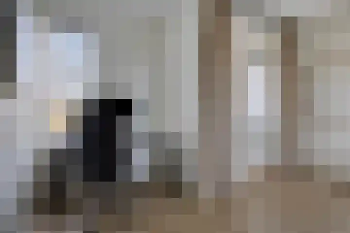 Palestrinastraat 105 's-Hertogenbosch thumbnail 16