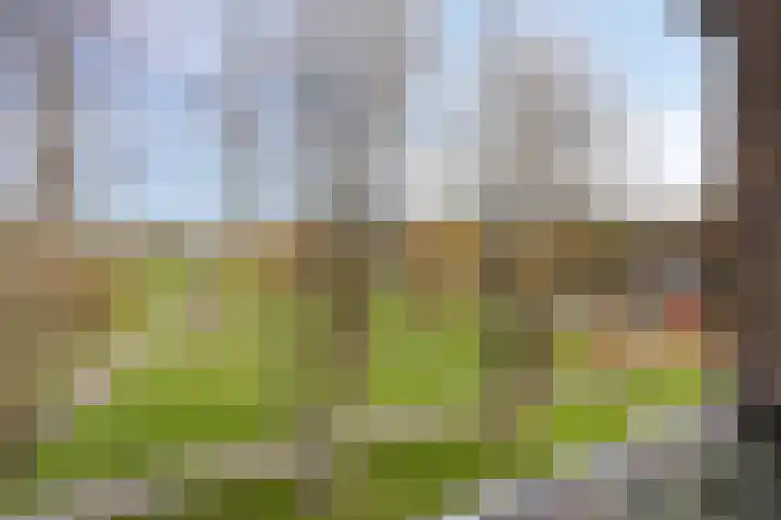 Palestrinastraat 105 's-Hertogenbosch thumbnail 19