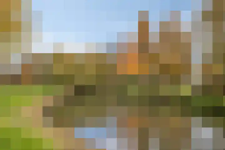 Palestrinastraat 105 's-Hertogenbosch thumbnail 27