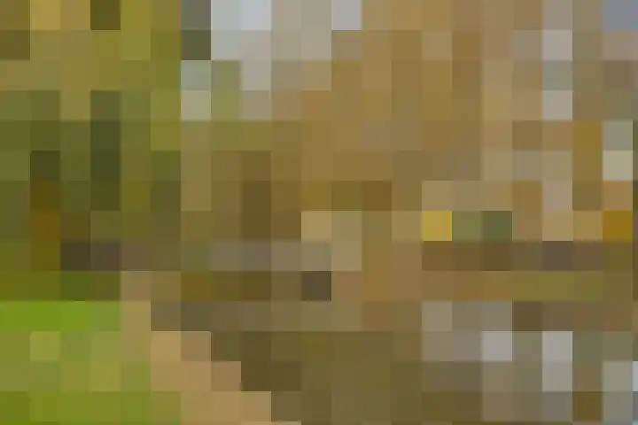 Palestrinastraat 105 's-Hertogenbosch thumbnail 28