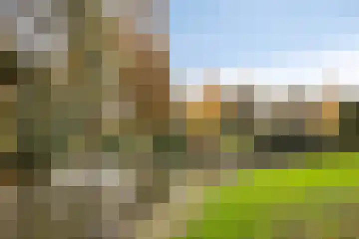 Palestrinastraat 105 's-Hertogenbosch thumbnail 29