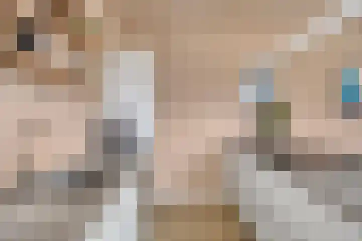 Palestrinastraat 105 's-Hertogenbosch thumbnail 4