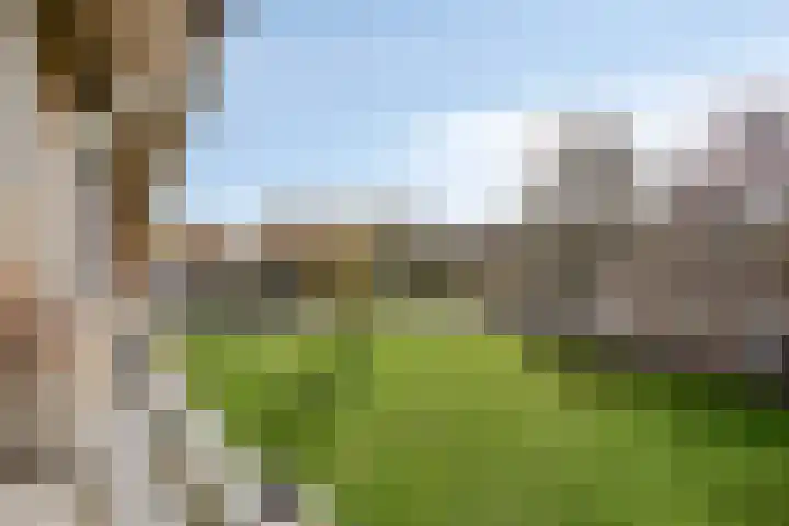 Palestrinastraat 105 's-Hertogenbosch thumbnail 8