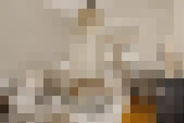 Palestrinastraat 12 2 Amsterdam thumbnail 10