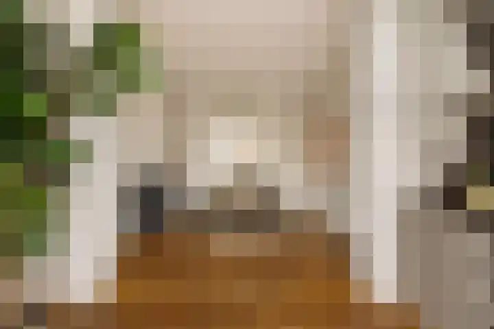 Palestrinastraat 12 2 Amsterdam thumbnail 11