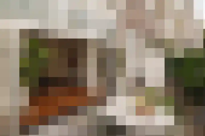 Palestrinastraat 12 2 Amsterdam thumbnail 12