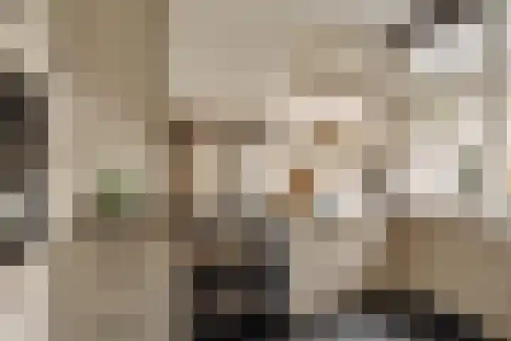 Palestrinastraat 12 2 Amsterdam thumbnail 13