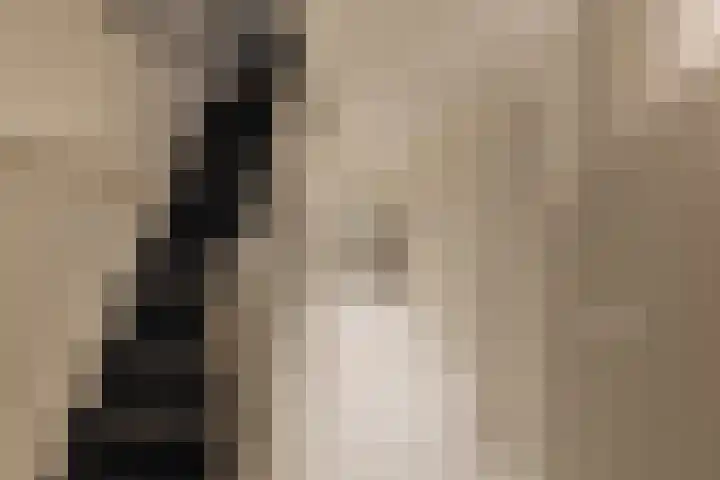 Palestrinastraat 12 2 Amsterdam thumbnail 17