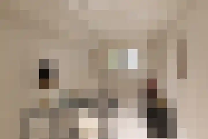 Palestrinastraat 12 2 Amsterdam thumbnail 18