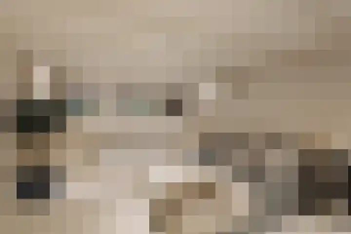 Palestrinastraat 12 2 Amsterdam thumbnail 19