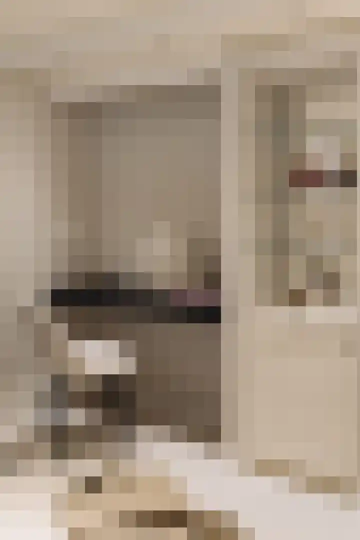 Palestrinastraat 12 2 Amsterdam thumbnail 20