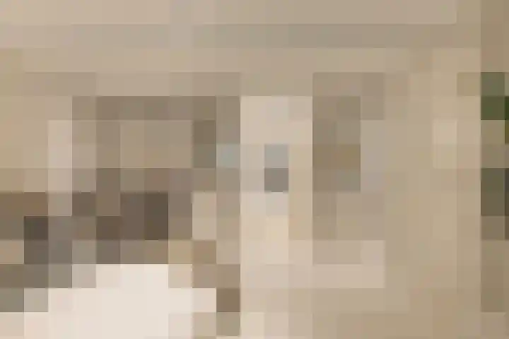 Palestrinastraat 12 2 Amsterdam thumbnail 21