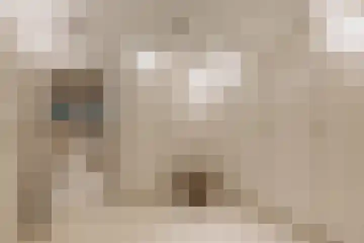 Palestrinastraat 12 2 Amsterdam thumbnail 22