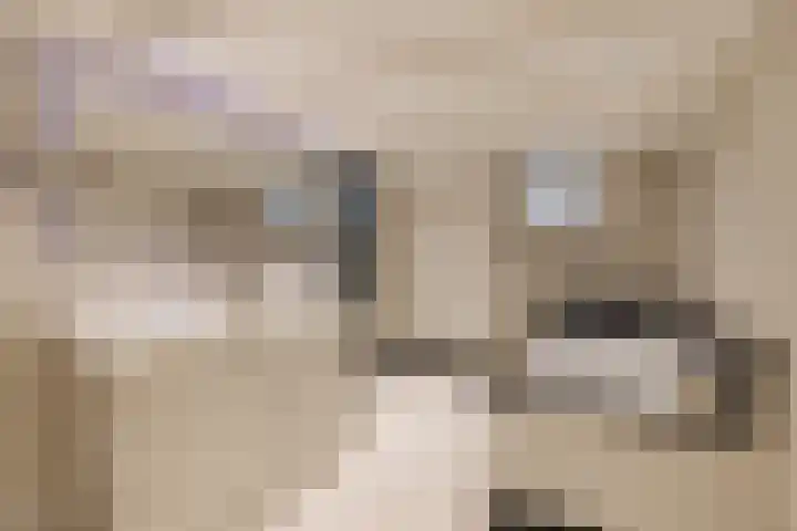 Palestrinastraat 12 2 Amsterdam thumbnail 23