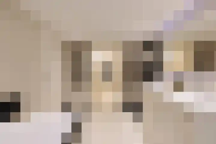 Palestrinastraat 12 2 Amsterdam thumbnail 24